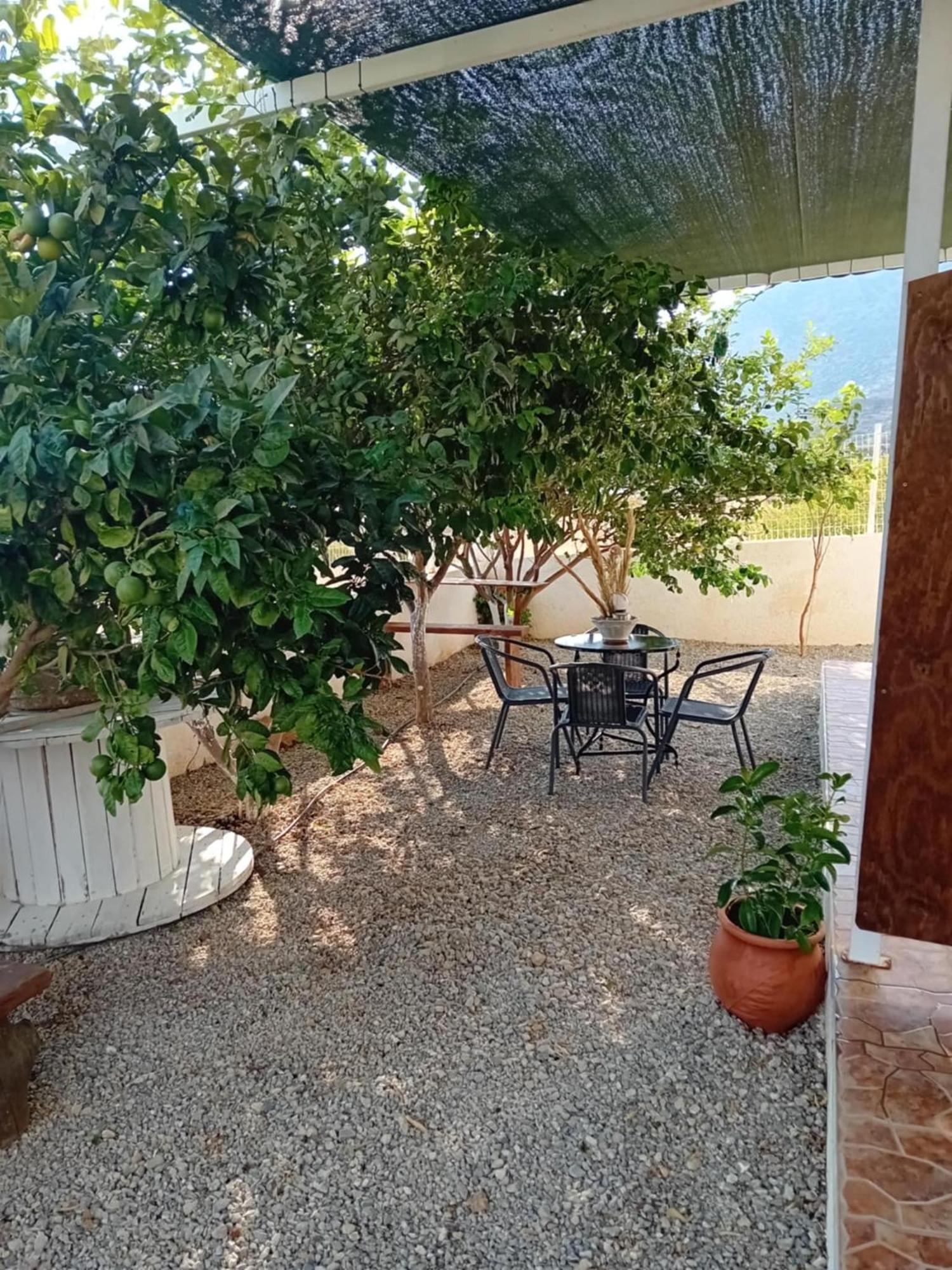 Studios Anna Maria With Sea View Kapetaniana Екстер'єр фото